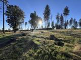 12168 Granite Ridge Road - Photo 5