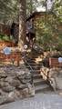 402 Burnt Mill Canyon Road - Photo 21