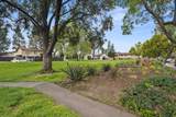 10158 Carefree Dr - Photo 38