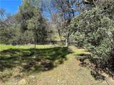 17509 Cache Creek - Photo 3