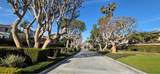 6126 Eaglecrest Drive - Photo 2
