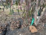 8083 Skyway - Photo 5