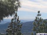 2716 Ridgepine Drive - Photo 38