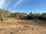 687 Saddleback Drive - Photo 3
