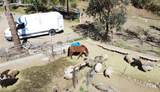 33716 Hubbard Road - Photo 12