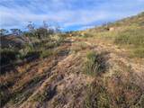 1007 Roan Way - Photo 6