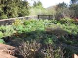 1564 Nipomo - Photo 9