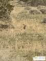 0 Canyon Drive - Photo 35