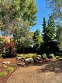 1019 Walnut Avenue - Photo 16