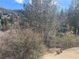 0 Pine Drive - Photo 3