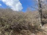 0 Pine Drive - Photo 8