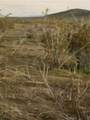 0 0418-248-13-0000 - Photo 2