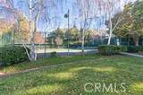 26857 Claudette - Photo 30
