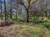 15347 Western Mine - Photo 6