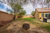 37523 Durwent Drive - Photo 42