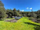 14605 Tomki Rd - Photo 47