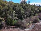 14605 Tomki Rd - Photo 58