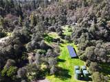 14605 Tomki Rd - Photo 59