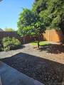 3456 Meridian Ave - Photo 3