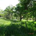 0 Reicker - Photo 1