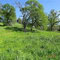 0 Reicker - Photo 3