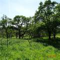 0 Reicker - Photo 6