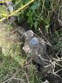 49818 290th - Photo 3