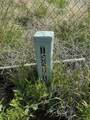 49818 290th - Photo 4
