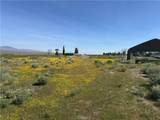 49818 290th - Photo 7
