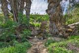 14435 Wood Road - Photo 47