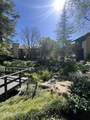 21900 Marylee Street - Photo 17