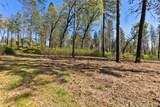 2922 Lost Ridge Way - Photo 4