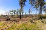 2922 Lost Ridge Way - Photo 5