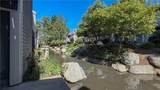 25391 Pine Creek Lane - Photo 19