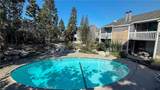 25391 Pine Creek Lane - Photo 21