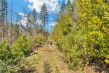 12061 Gifford Springs Road - Photo 11