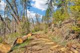 12061 Gifford Springs Road - Photo 12