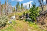 12061 Gifford Springs Road - Photo 13