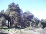 0 Willow Canyon Road - Photo 8