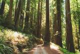 146 Aptos School Road - Photo 43
