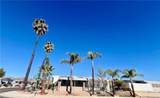 30615 Arenga Palm - Photo 2