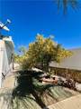 30615 Arenga Palm - Photo 26