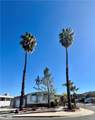 30615 Arenga Palm - Photo 27