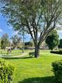 30615 Arenga Palm - Photo 49
