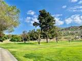 30615 Arenga Palm - Photo 50