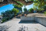 245 Robles Road - Photo 40
