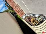 16729 Klee Street - Photo 24