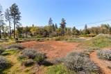 13586 Andover Drive - Photo 5