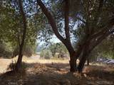 0 Live Oak Drive - Photo 1