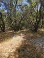 1371 Moccasin Trail - Photo 37